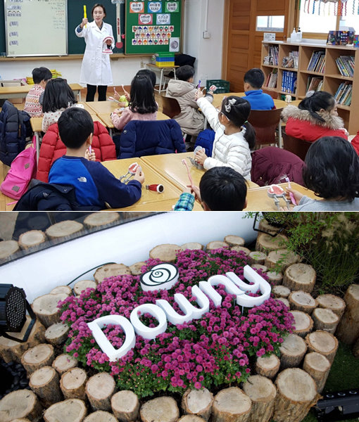 오랄비 ‘건강한 미소, 칫솔 재활용 캠페인’(위쪽)과 다우니 ‘한국 야생화 보호 캠페인’. 사진제공｜한국P&G