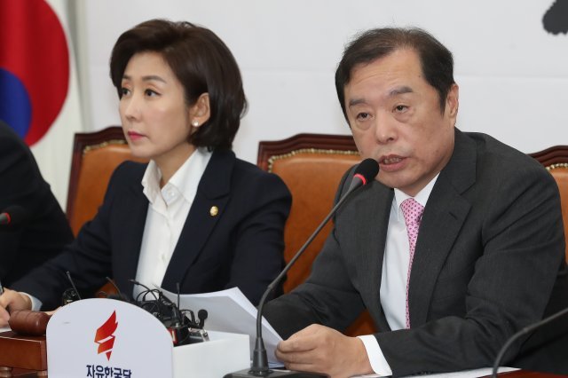 김병준 자유한국당 비상대책위원장이 31일 오전 서울 여의도 국회에서 열린 비상대책위원회 회의에서 모두발언을 하고 있다. 2018.12.31/뉴스1 © News1