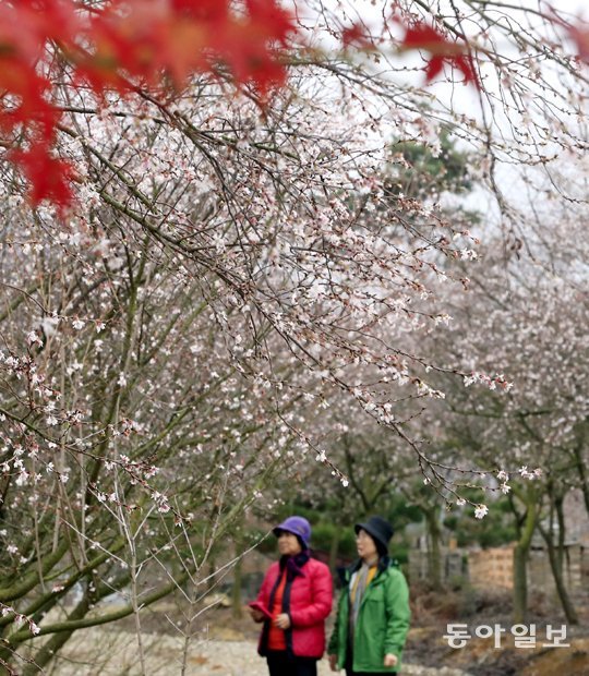 여행객들이 한국인이 좋아하는 ‘소확행’ 중 하나인 산책을 하고 있다. 동아일보DB