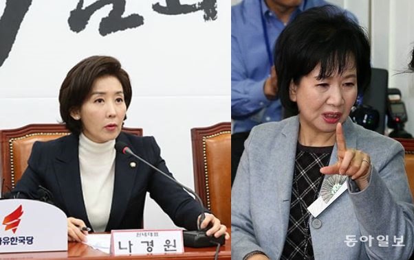 나경원 자유한국당 원내대표(좌), 손혜원 더불어민주당 의원(우). 사진=동아일보DB