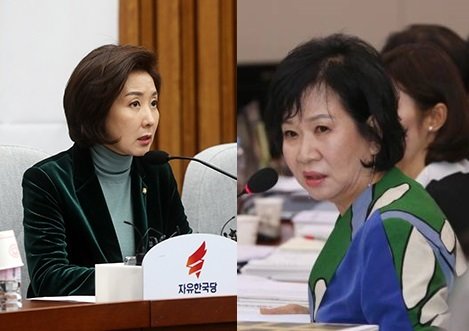 자유한국당 나경원 원내대표(왼쪽)와 손혜원 의원. 사진=동아일보 DB