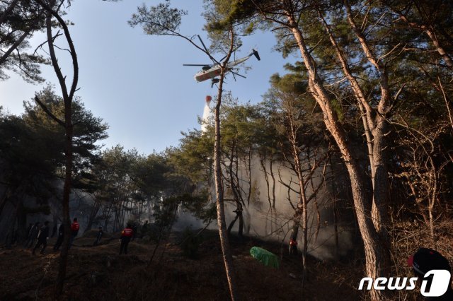 24일 오후 2시28분쯤 경북 포항시 북구 흥해읍 양백리 산에서 원인을 알 수 없는 불이 났다.신고를 받고 출동한 포항시산불전문진화대화, 산불진화헬기가 진화작업을 하고 있다.이날 불로 임야 0.1ha가 소실됐다.2019.1.24/뉴스1 © News1