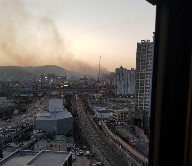 사진=제보 사진