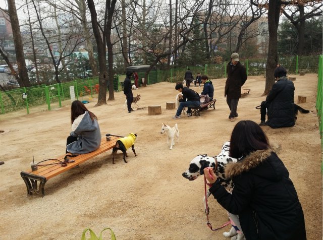 어린이대공원 내 반려견 놀이터(서울시 제공)