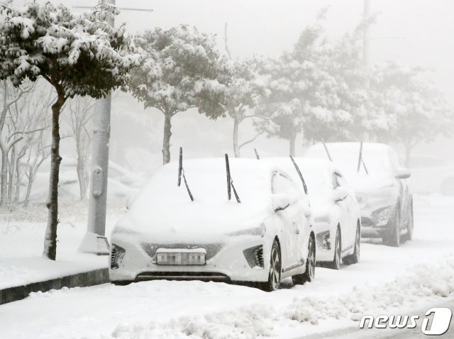 31일 제주산지를 중심으로 많은 눈이 내리고 있다. 제주시 영평동 한 도로에 운행을 포기한 차량들이 세워져 있다. © News1