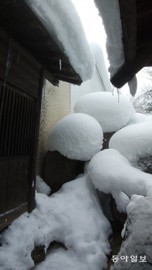시로가네  노천온천에 쌓인 눈=노천온천 조경석에 쌓인 눈이 보기에 좋다.
김동주기자 zoo@donga.com