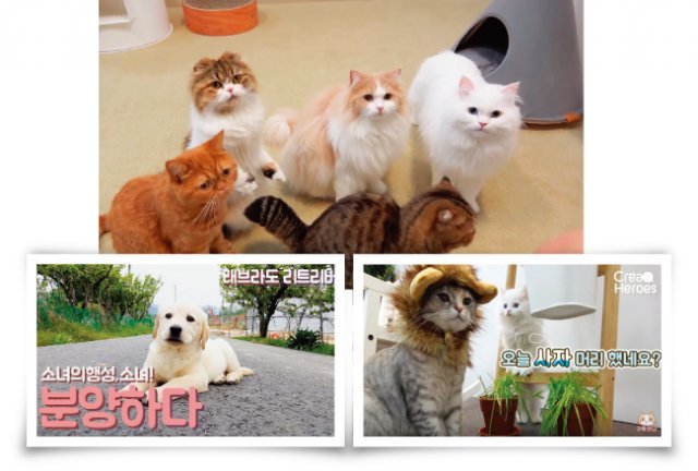 [유튜브 화면 캡처]