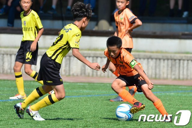 대한축구협회가 초등학교 축구에 8대8 경기를 도입한다. © News1