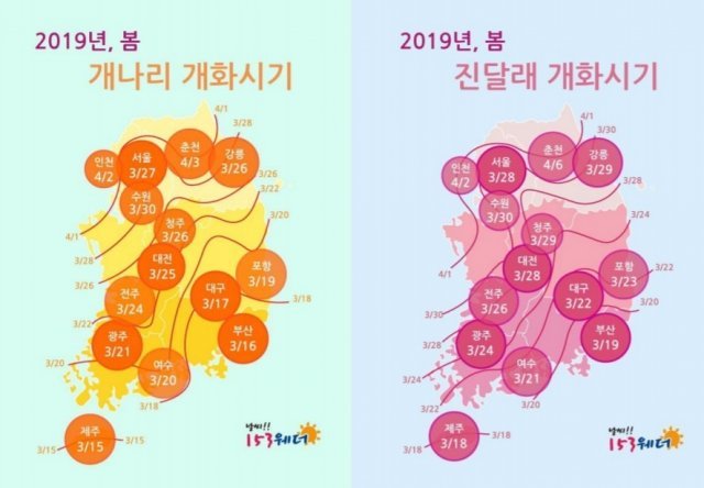 2019년 봄꽃 개화 시기. (지비엠아이엔씨 제공)© 뉴스1