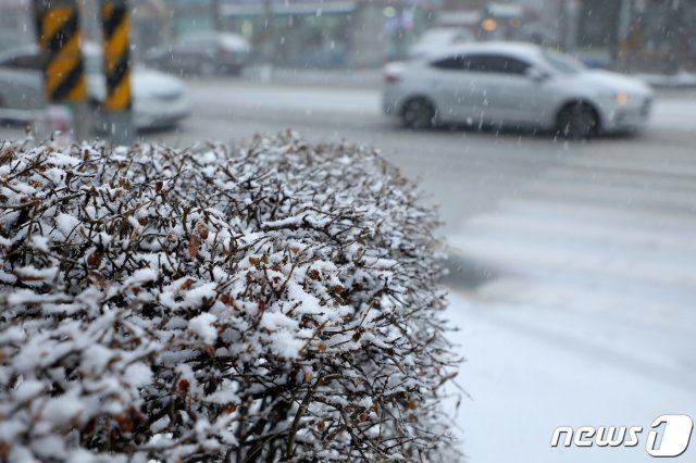 /뉴스1 DB © News1