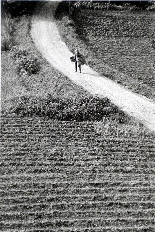 마에다신조의 1957년 작품 ‘野良を行く人,들판을 걷는 사람’