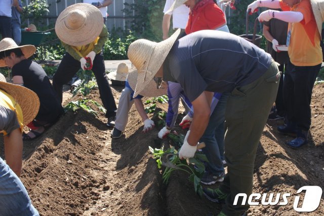 귀촌(전원생활)과정 중 밭 만들기 재배 실습을 하고 있는 교육생들. (서울시 제공) © 뉴스1