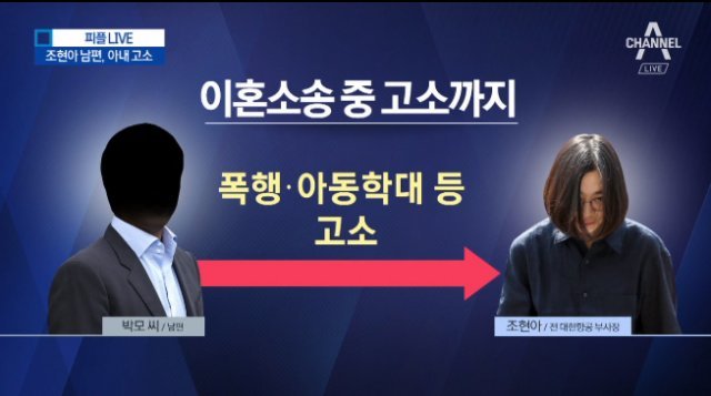 조현아 남편 “아내가 상습 폭행” 고소…이혼 이어 형사처벌 요구, 왜?/채널A 캡처.