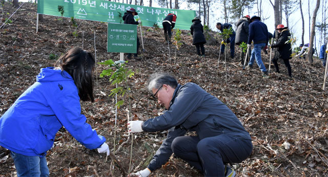 산림청은 21일 전남 고흥에서 올해 첫 나무 심기 행사를 열고 올 한 해 남산 면적의 74배에 달하는 지역에 나무 5000만 그루를 심는 사업을 시작했다. 산림청 제공