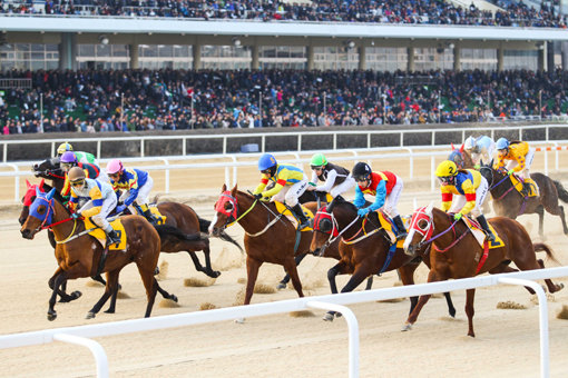 경마 시행 모습.