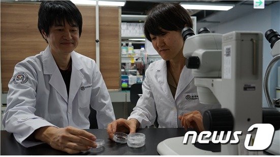 한국뇌연구원 코소도 요이치 책임연구원(좌측)과 이와시타 미사토 연구원(우측)이 열대어 콜라겐 젤 샘플을 관찰하고 있다.© 뉴스1