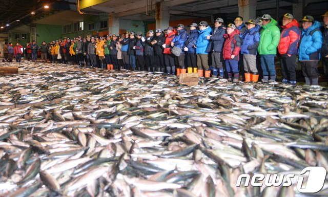 부산 서구 부산공동어시장 © News1