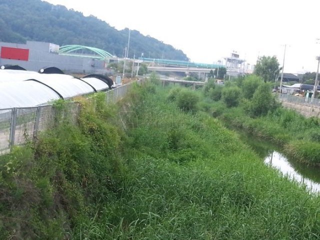 경매에 부쳐진 장영자씨 소유 토지 중 일부 전경.(자료제공=지지옥션)© 뉴스1