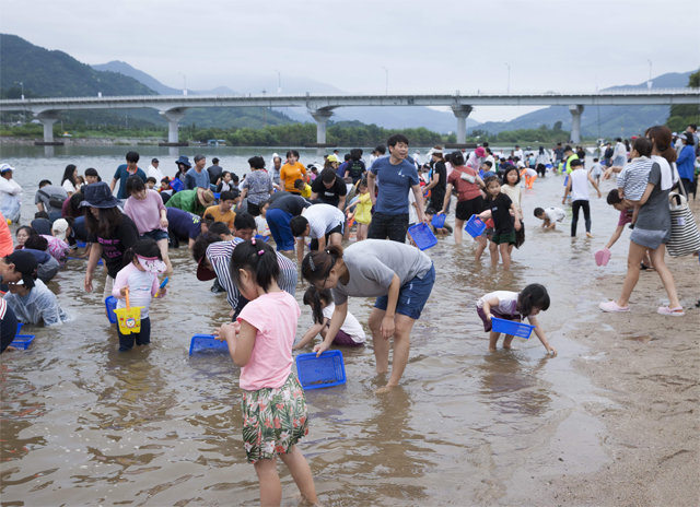 경남도가 그랜드 비전을 세우고 관광 활성화에 나섰다. 정부가 지정하는 ‘2019년 문화관광축제 육성 분야’에 선정된 알프스하동 섬진강재첩축제. 경남도 제공