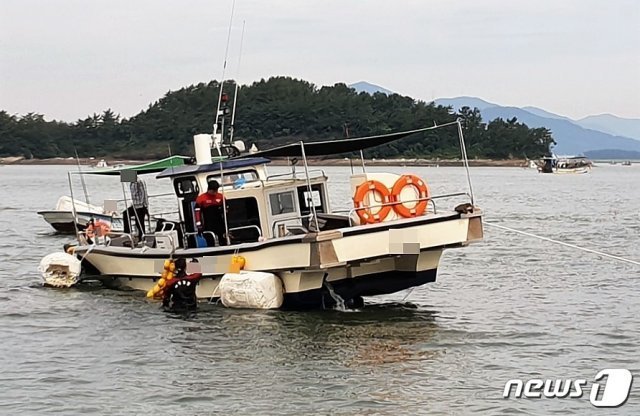 자료사진 © News1