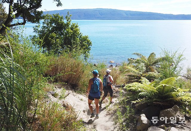 뉴질랜드 로토루아에서 펼쳐진 타라웨라 울트라 트레일러닝 대회 참가자들이 호수를 끼고 달리는 코스에서 극한의 레이스를 펼치고 있다. 로토루아=임재영 기자 jy788@donga.com
