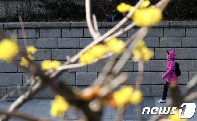 /뉴스1 DB © News1