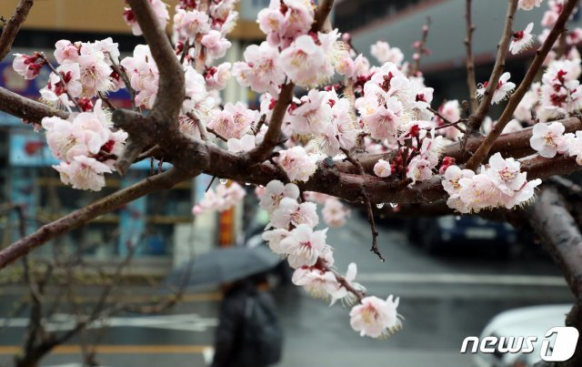 /뉴스1 DB © News1