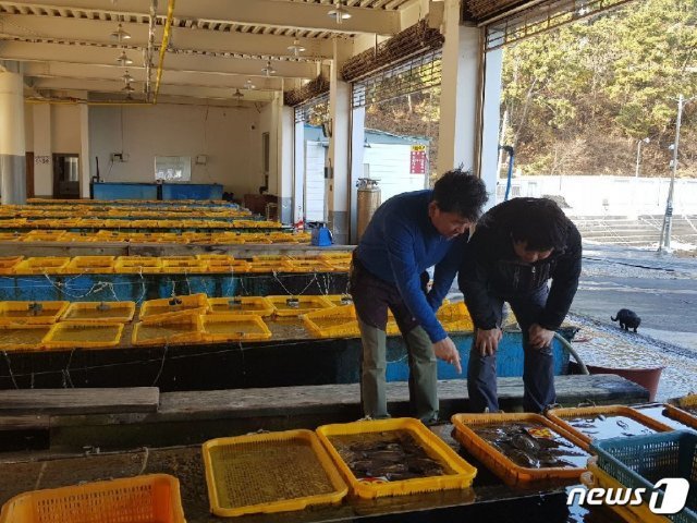 귀어닥터/사진=해양수산부© 뉴스1