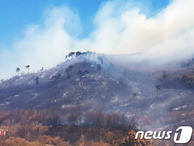 13일 오후 1시 58분쯤 강화군 해병대 진강산 사격장에서 화재가 발생했다. 불은 강한 바람을 타고 길상면의 인근 야산으로 확산 중이다. (강화소방서 제공)2019.3.13/뉴스1 © News1