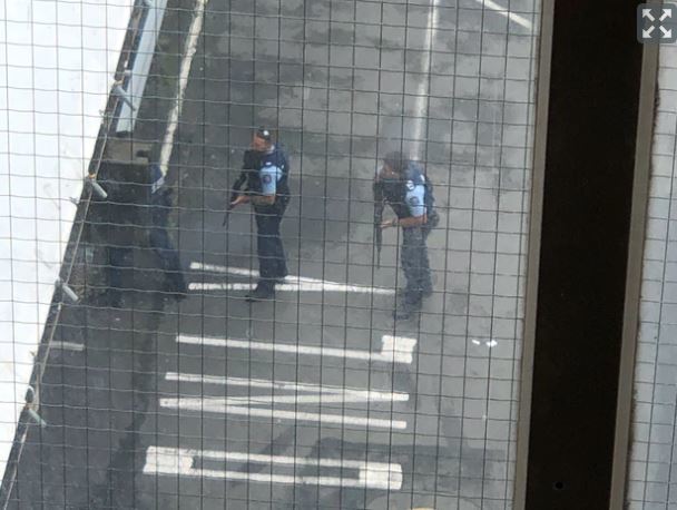 뉴질랜드 이슬람사원서 총기난사…다수 사망한 듯