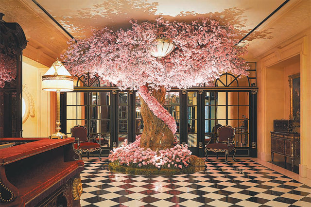 신세계조선호텔의 독자브랜드 레스케이프 호텔의 1층 로비에 설치된 대형 벚꽃나무는 벌써부터 봄 포토존으로 입소문이 나있다.