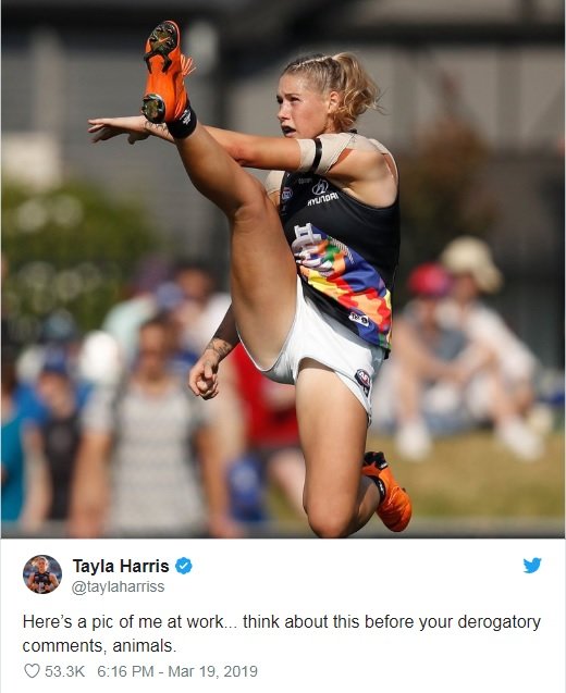 테일라 해리스 트위터