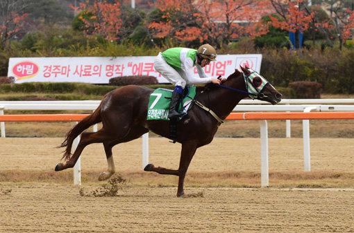 야호스카이캣.