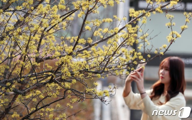 /뉴스1 DB © News1