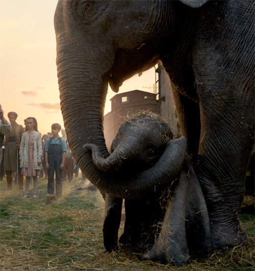 아기 코끼리 덤보가 78년 만에 다시 스크린을 난다. 부모와 아이들이 함께 즐길 수 있는 실사영화로 돌아온 ‘덤보’는 우정과 가족애를 일깨워 준다.
월트디즈니컴퍼니코리아 제공