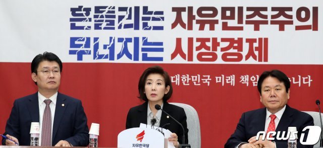 나경원 자유한국당 원내대표가 29일 서울 여의도 국회에서 열린 원내대책회의에서 모두발언을 하고 있다. 2019.3.29/뉴스1 © News1