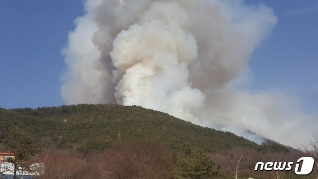 29일 오후 2시59분쯤 경북 의성군 가음면의 한 야산에서 불이 나 의성군과 소방당국, 산림청 등에서 진화 중이다.(독자제공) 2019.3.29/뉴스1 © 뉴스1