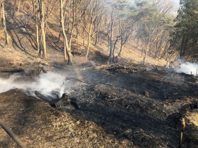 사진=경기도소방재난본부 제공