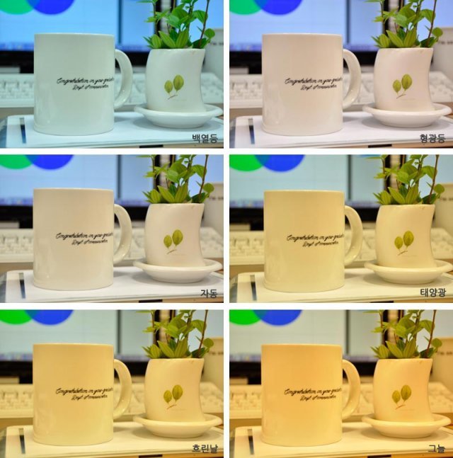 화이트밸런스 프리셋에 따른 차이, 출처: IT동아