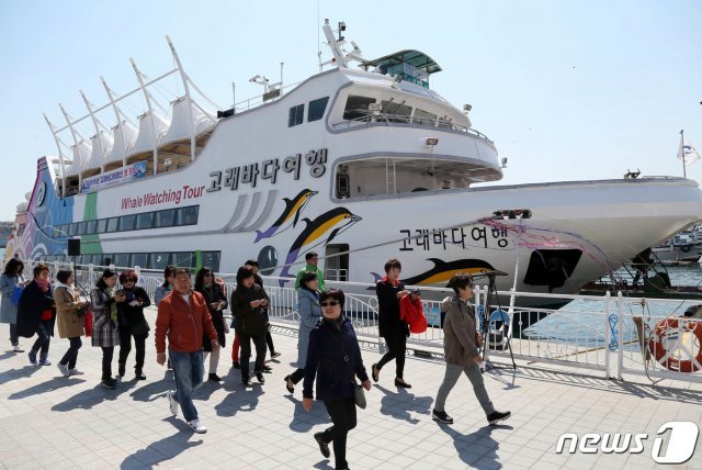 울산 남구 고래바다여행선이 2일 올해 첫 출항 준비를 하고 있다. (울산 남구 제공) 2019.4.2/뉴스1 © News1