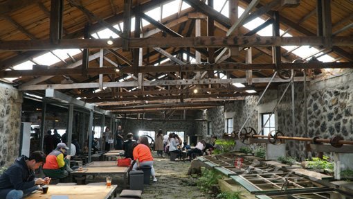 제주｜김재범 기자 oldfield@donga.com