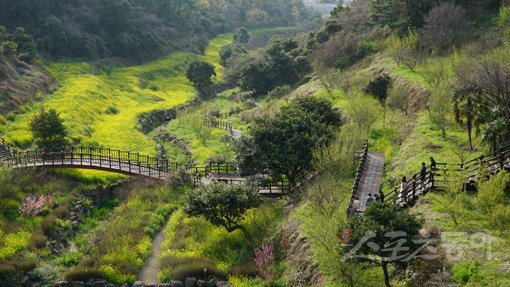 제주｜김재범 기자 oldfield@donga.com