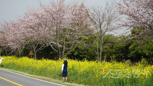 제주｜김재범 기자 oldfield@donga.com