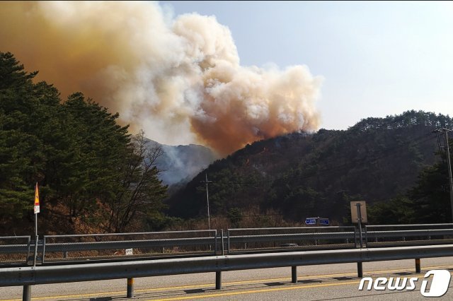 4일 오후 2시45분쯤 강원 인제군 남면 남전약수터 부근 야산에서 산불이 발생했다. 2019.4.4./뉴스1 © News1