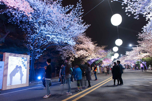 렛츠런파크 서울이 봄 가족 나들이 명소로 떠오르고 있다. 사진제공｜한국마사회
