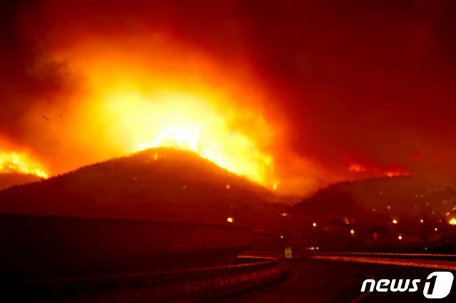 강원지역에 강풍으로 말미암은 산불이 잇달아 발생한 가운데 5일 00시48분쯤 동해시 망상동 인근 야산에서 불이 나 숲을 집어삼키고 있다. 2019.4.5/뉴스1 © News1