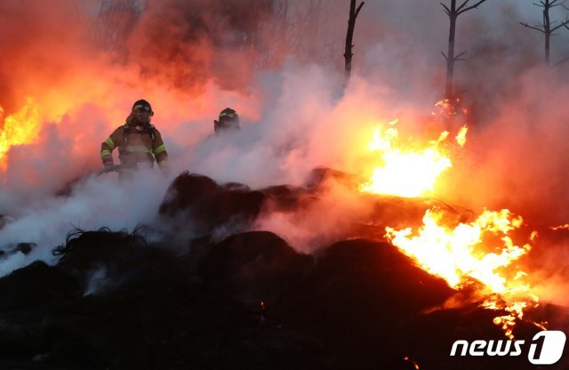 5일 오전 강원 고성군 토성면에서 소방대원이 밤 사이 꺼지지 않은 잔불을 정리하고 있다.2019.4.5/뉴스1 © News1