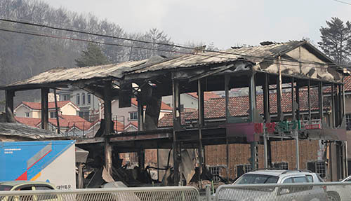 속초 산불 피해 주민 “날아가던 참새 타죽어…불꽃, 폭탄 날아가듯 퍼져”/ 사진=동아일보DB