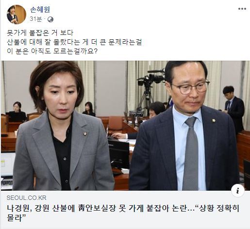 손혜원 의원 페이스북