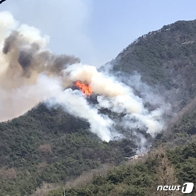 충남 아산시 설화산에서 4일 오전 11시 48분께 화재가 발생했다.© 뉴스1
